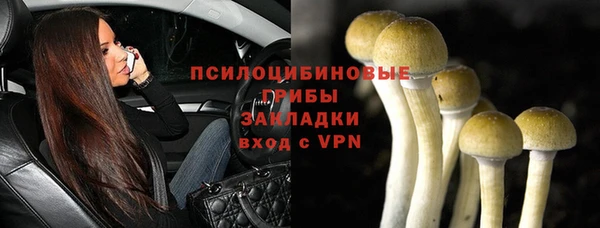 прущий лед Арсеньев