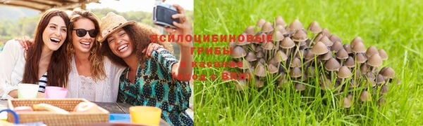 стаф Армянск